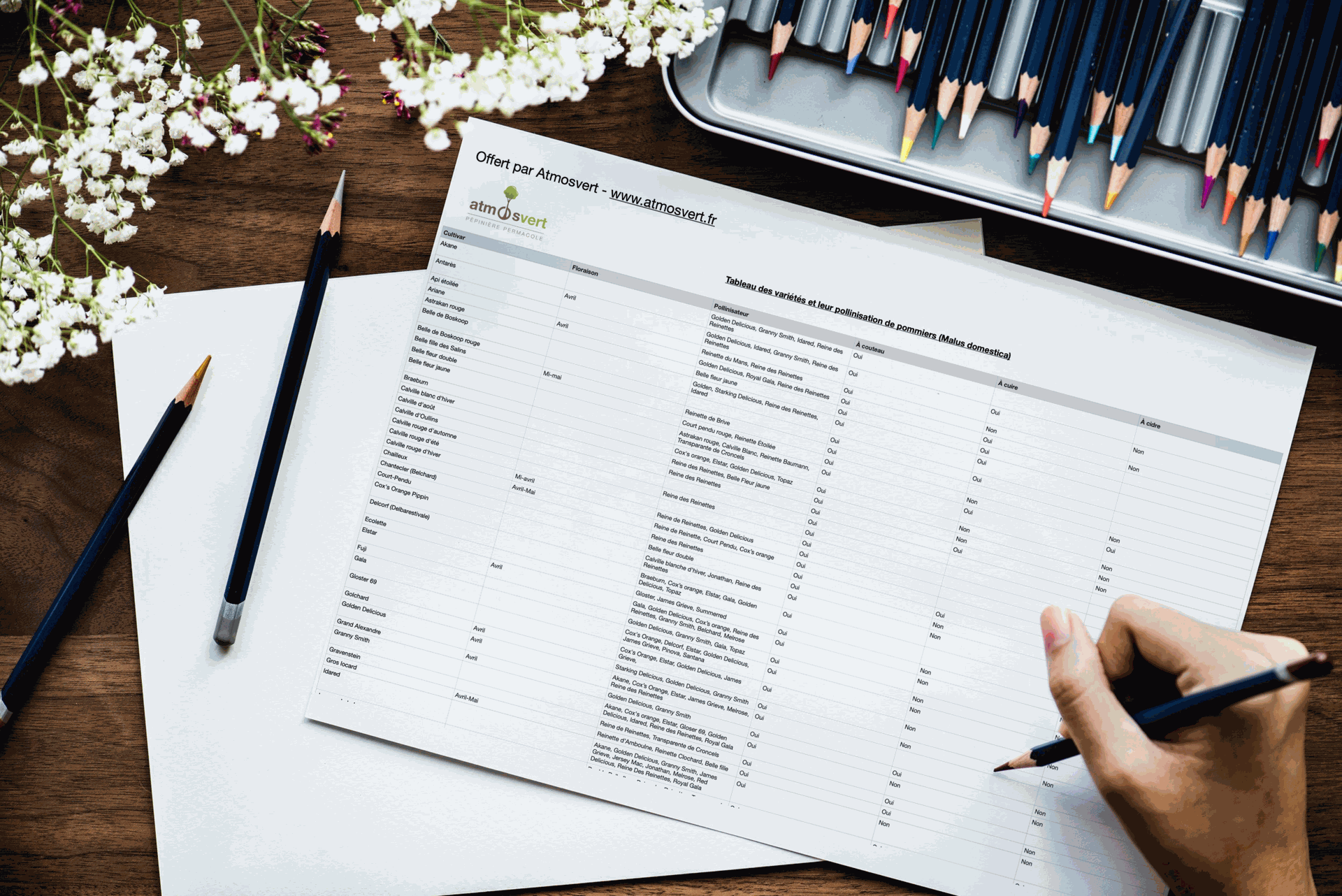 TAbleaux de pollinisation des fruitiers Mockup d'un tableau d' arbres fruitiers et leurs floraisons