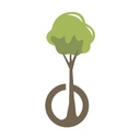Le paulownia, l'arbre du futur pour la permaculture !