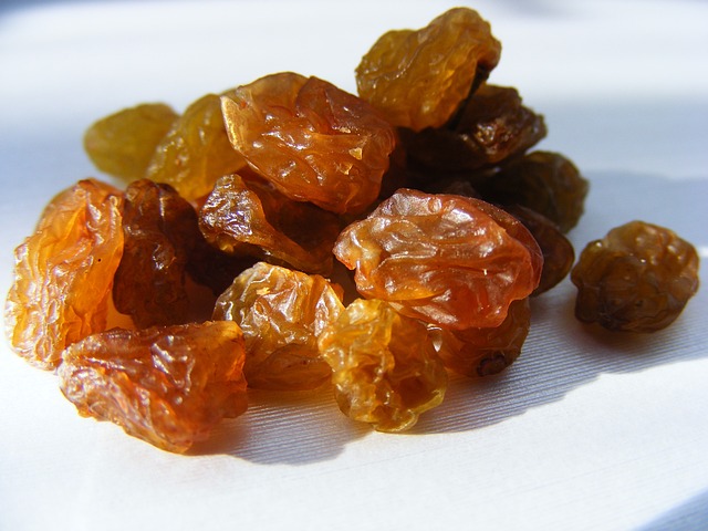 Vigne 'Sultanine' greffée (sans pépin) - jeune plant de 1 an