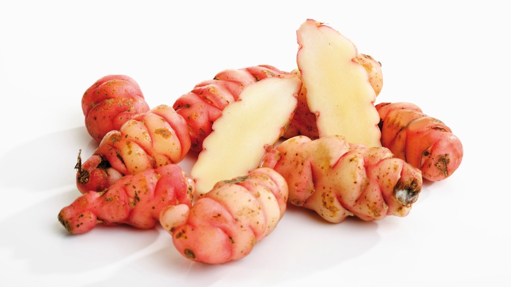 Oca du Pérou - jeune plant 1 ans - godet