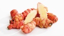 Oca du Pérou - jeune plant 1 ans - godet