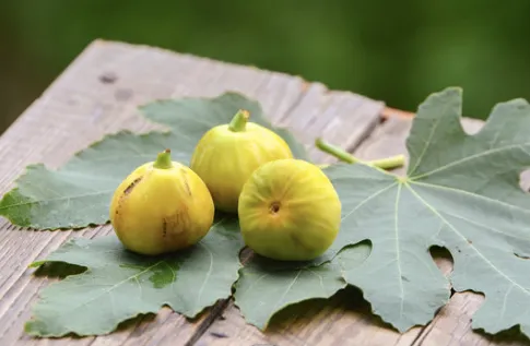 fi mad 2 saison 3.webp