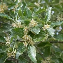 ChatGPT Image Jun 14, 2026, 04_58_55 PM.webp
