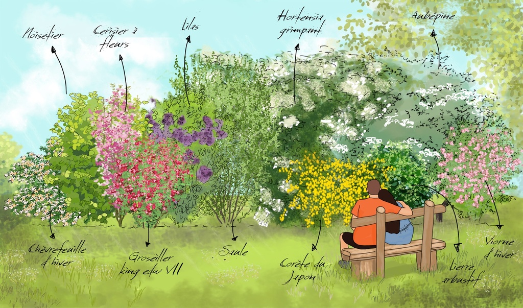 [PACKS DE HAIES] Le pack prêt-à-planter de 'La haie Merveille des abeilles'