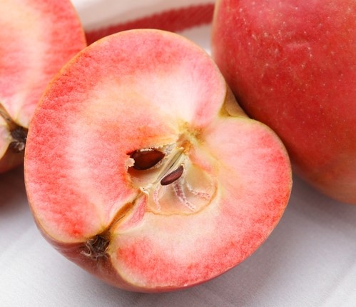 [FRUITIERS] Pommier 'Rote Gardeteler' (sanguin) - scion 1/2 ans