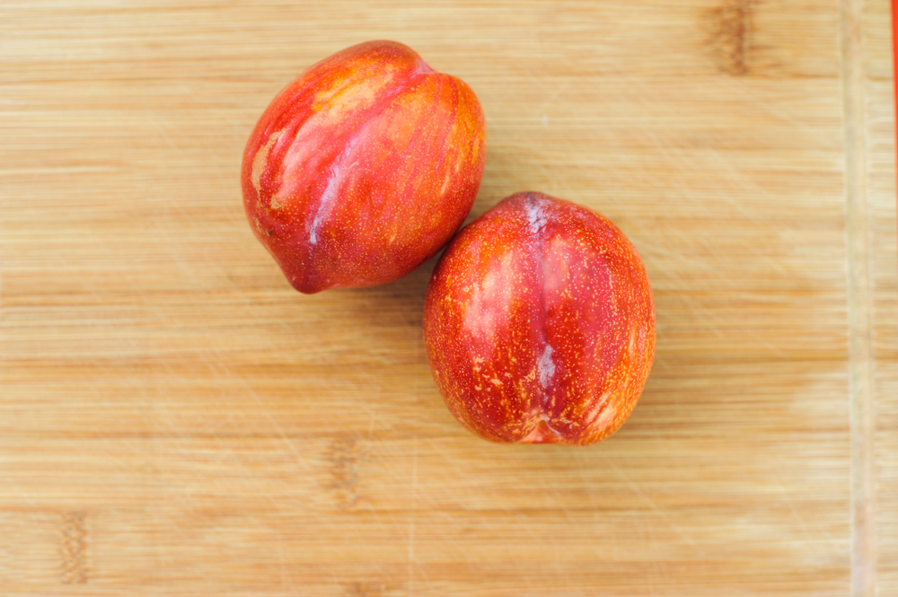 [FRUITIERS] Prunier 'Prune - Abricot' - scion 1/2 ans