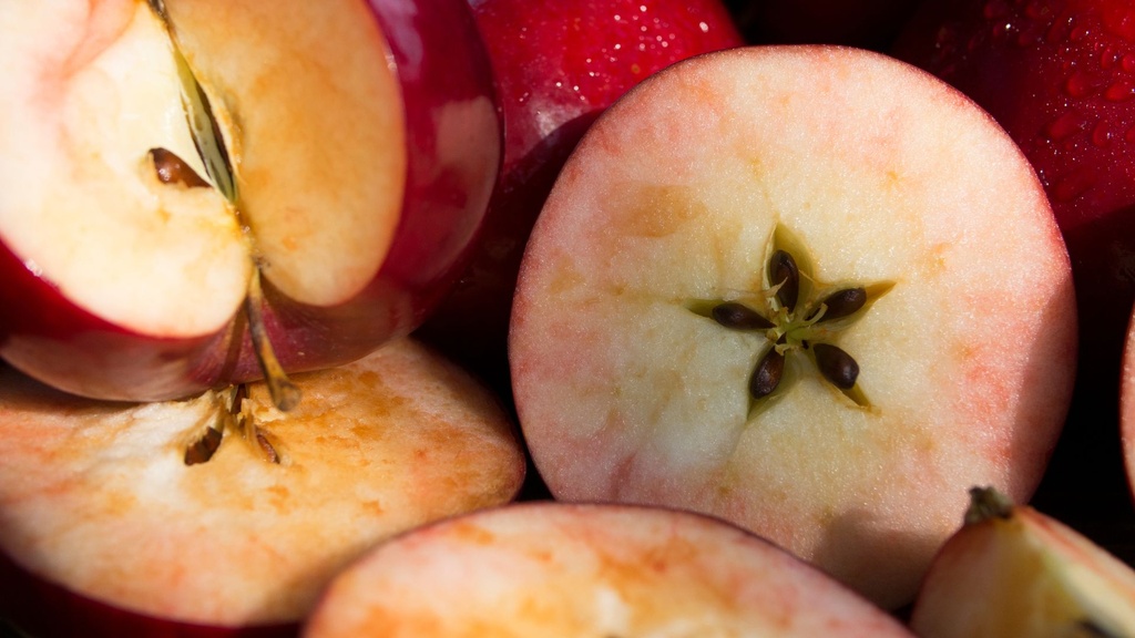 Pommier 'Red Devil' - scion