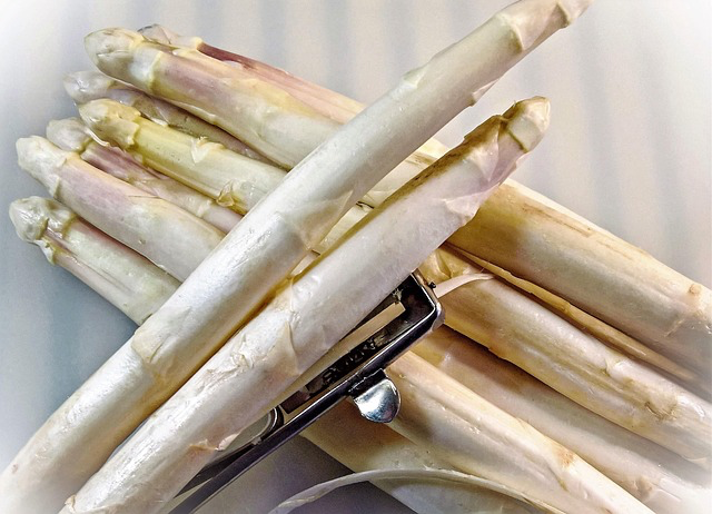 Asperge 'Argenteuil' - jeune plant 1 an