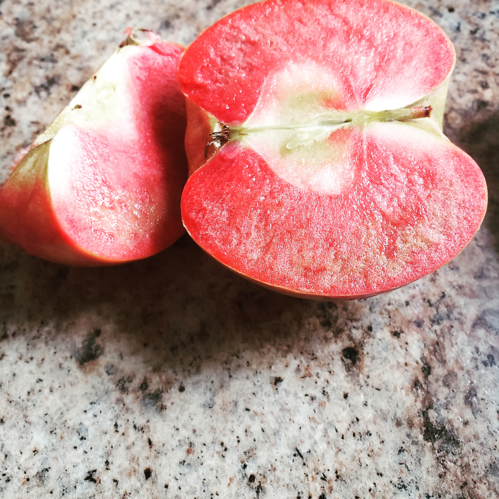 Pommier 'Grenadine' - scion