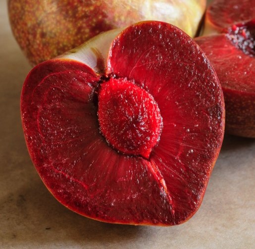 Prunier 'Coeur d'éléphant' (très grosse prune) - scion