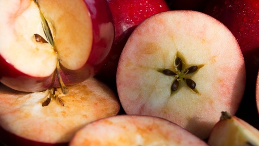 Pommier 'Red Devil' - scion