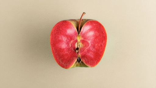 [FRUITIERS] Pommier ‘Blush Rosette’ - scion