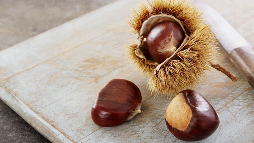 Châtaignier 'Bouche de Betizac' - scion